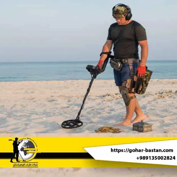 فلزیاب پالسی