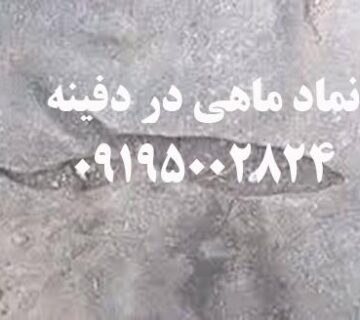 نماد ماهی در دفینه‌یابی