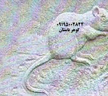 نماد موش در دفینه یابی