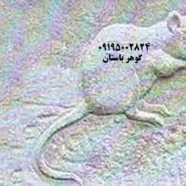 نماد موش در دفینه یابی