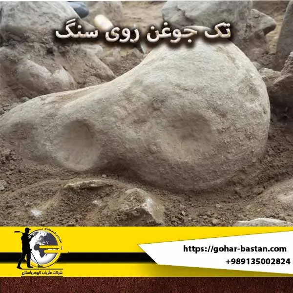 تک جوغن روی سنگ نشانه چیست؟