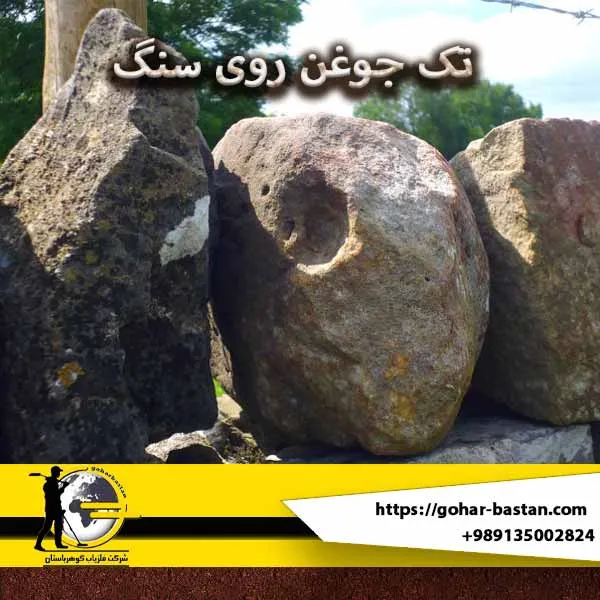 تک جوغن روی سنگ نشانه چیست؟