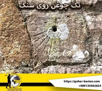 تک جوغن روی سنگ نشانه چیست؟