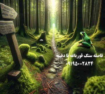 فاصله سنگ قورباغه تا دفینه