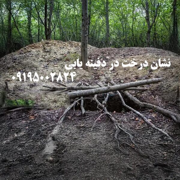 نشان دفینه یابی درخت