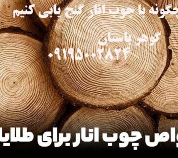 خواص چوب انار برای طلایاب