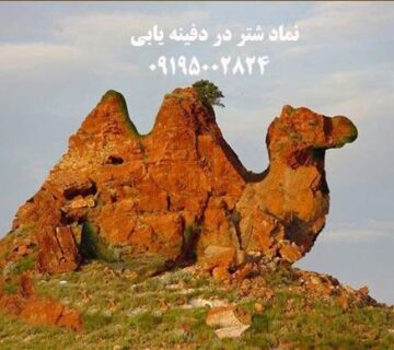 نماد شتر در دفینه یابی