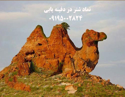 نماد شتر در دفینه یابی