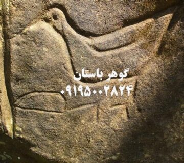 نشانه مرغ و جوجه در گنج‌یابی و دفینه‌یابی