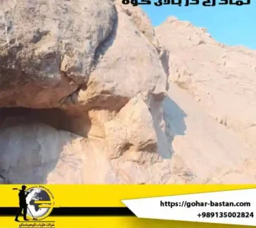 نماد رخ در بالای کوه