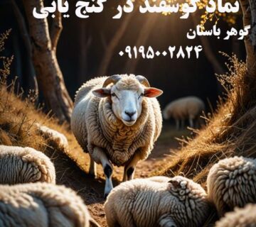 نماد گوسفند در گنج یابی