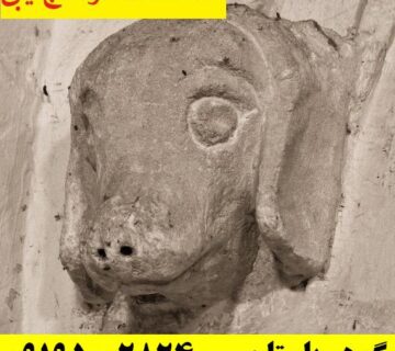 نماد سگ در گنج یابی