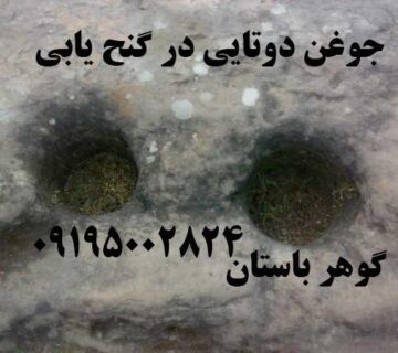 جوغن های دوتایی در گنج یابی