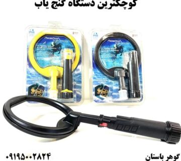 کوچکترین دستگاه گنج یاب