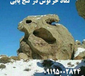 نماد خرگوش در گنج یابی