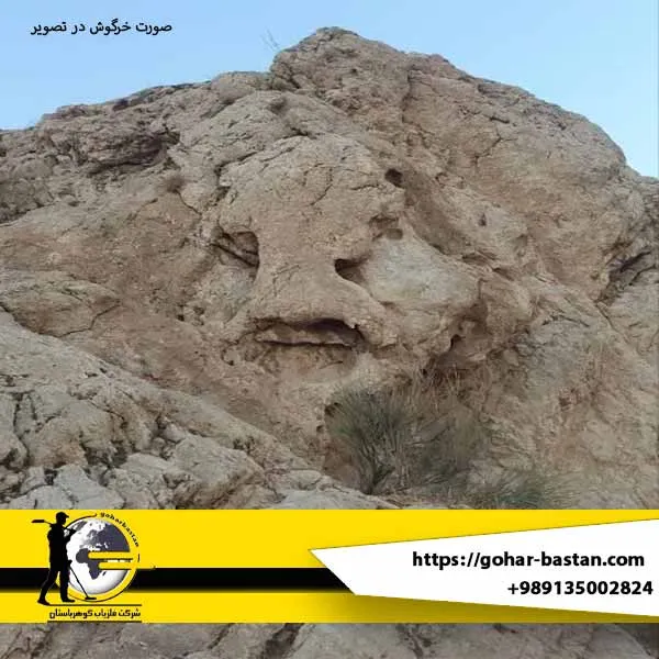 نماد خرگوش در دفینه یابی