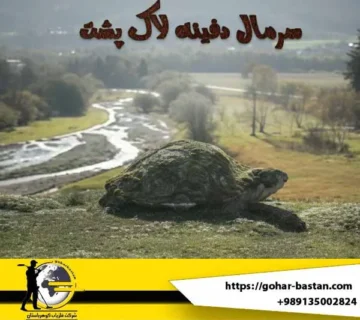 سرمال دفینه لاک پشت سرمال لاکپشت