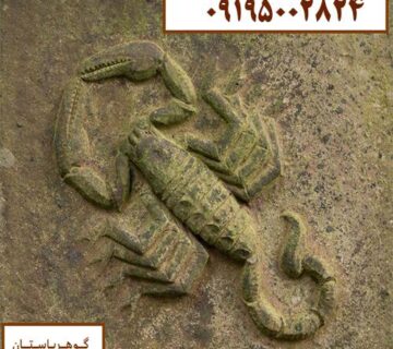 نماد عقرب در گنج یابی