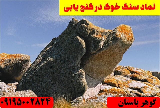 نماد خوک در دفینه