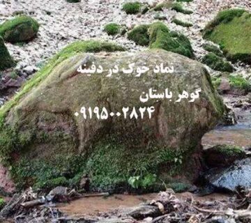 نماد خوک در دفینه