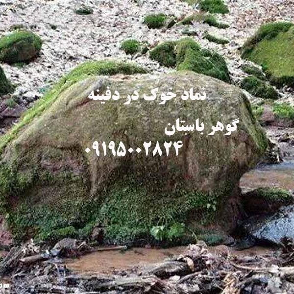 نماد خوک در دفینه