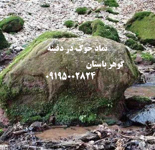 نماد خوک در دفینه