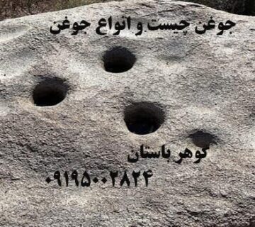 جوغن چیست و انواع جوغن