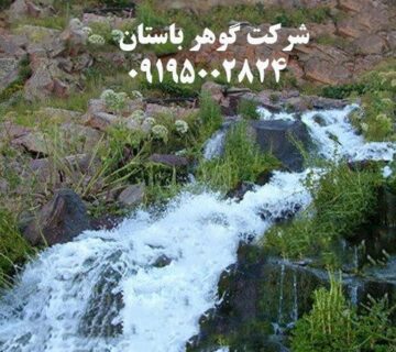 چشمه در دفینه یابی