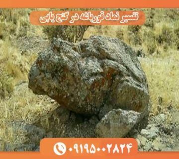 نماد قورباغه در گنج یابی