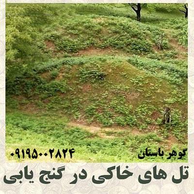 تله در گنج یابی