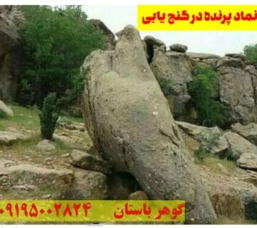 نماد کبوتر در دفینه یابی