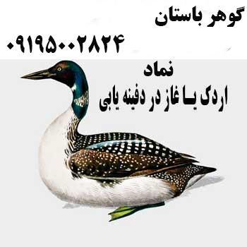 نماد اردک در دفینه یابی