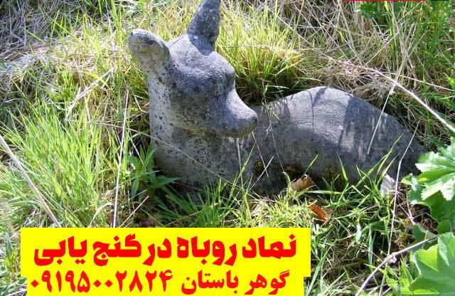 نماد روباه در گنج یابی