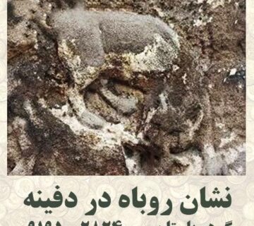 نماد روباه در گنج یابی