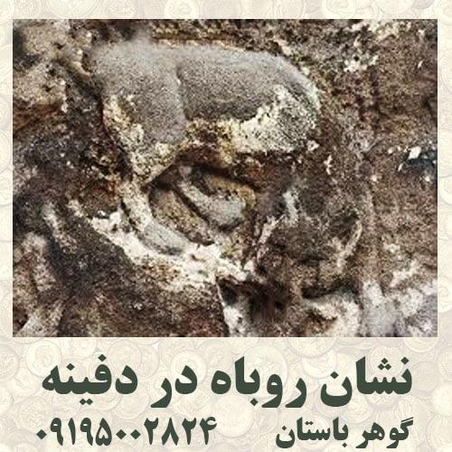 نماد روباه در گنج یابی