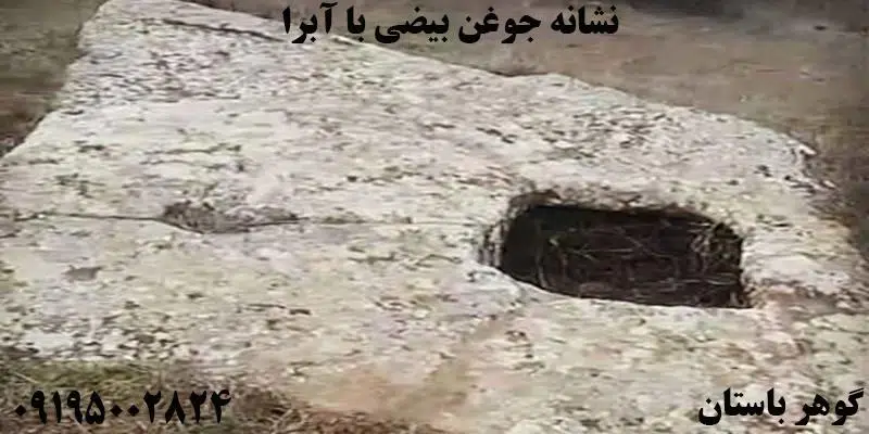 نشانه جوغن بیضی با آبرا