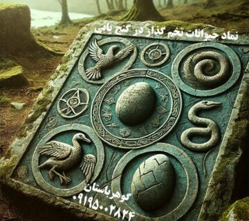 نماد حیوانات تخم گذار در گنج یابی