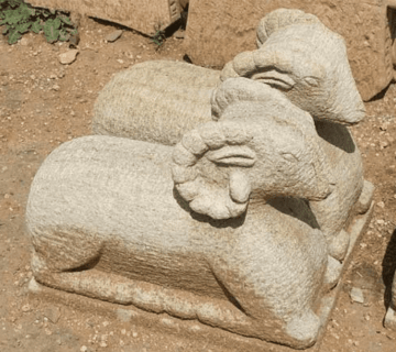 قوچ در گنج یابی