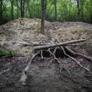 علائم گنج در باغ