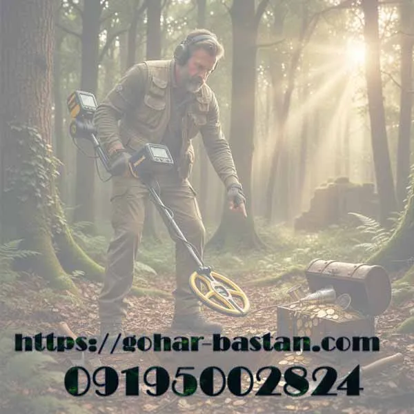 فلزیاب برای حرفه ای ها