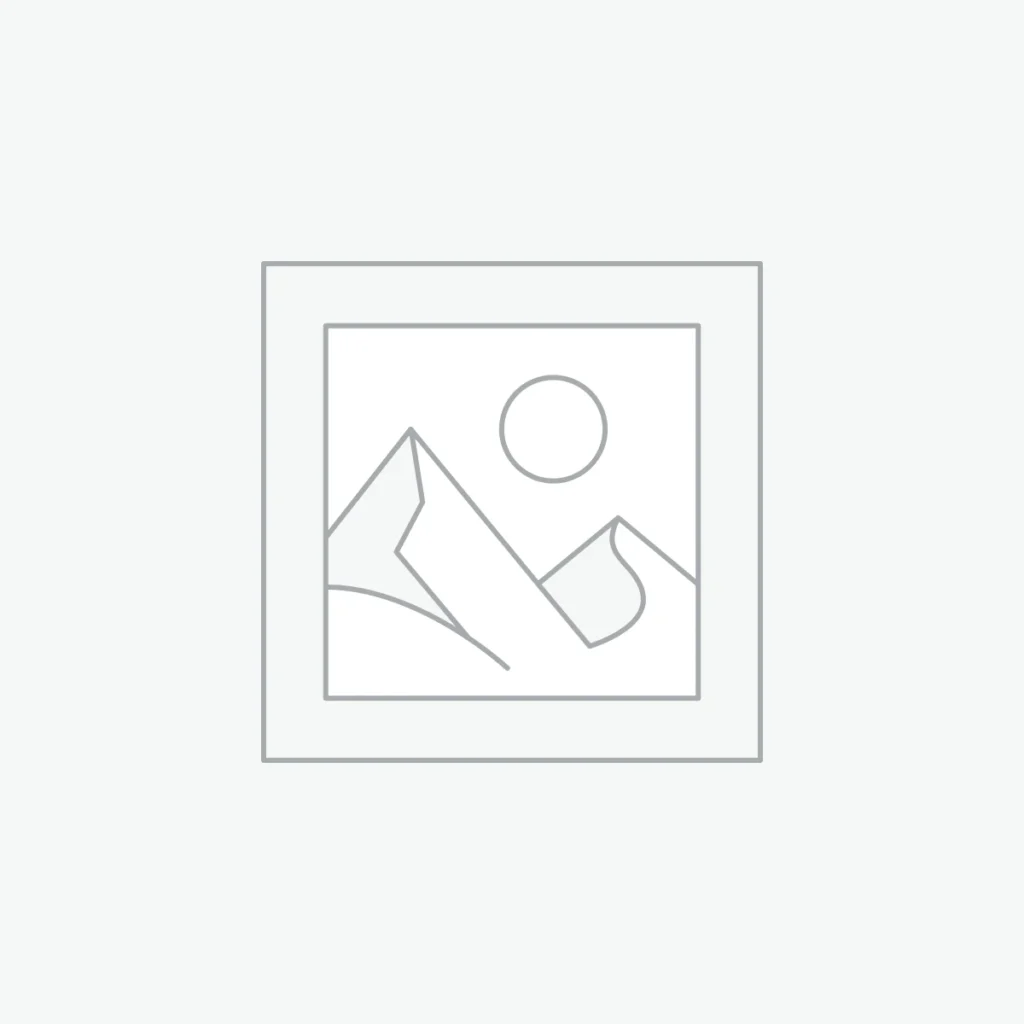 فلزیاب Ding Wei Bang