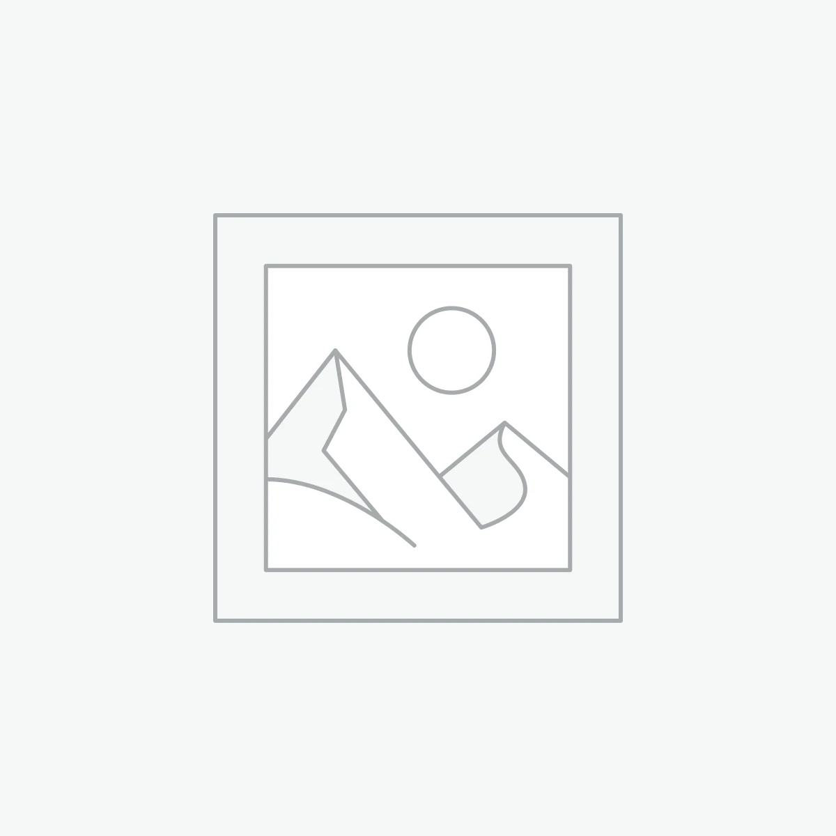فلزیاب Ding Wei Bang